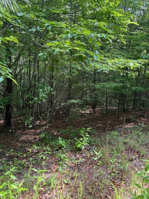 79 Elk Horn Road Property Photo 10
