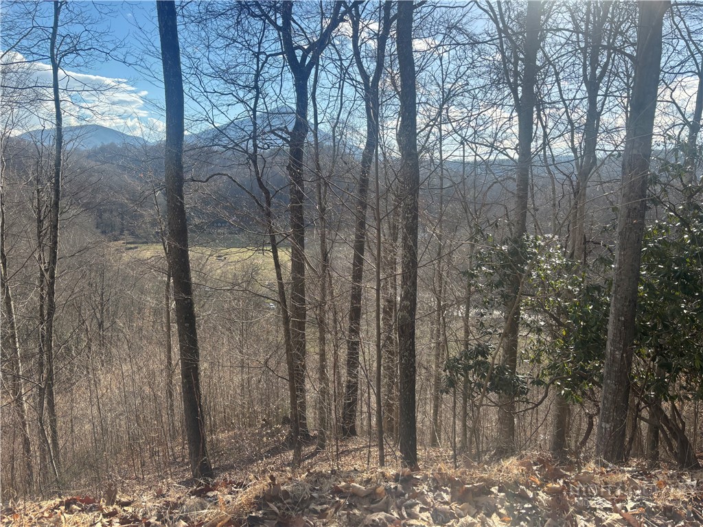Lot 19 Clear Waters Edge Estate Property Photo 2