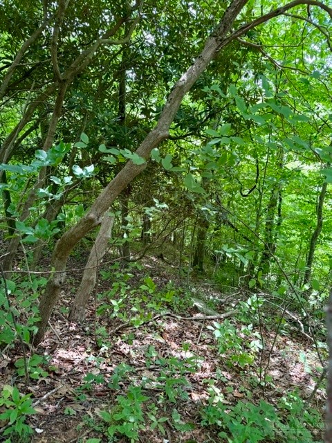 Lot 19 Clear Waters Edge Estate Property Photo 5