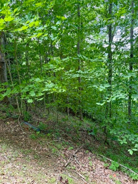 Lot 19 Clear Waters Edge Estate Property Photo 8