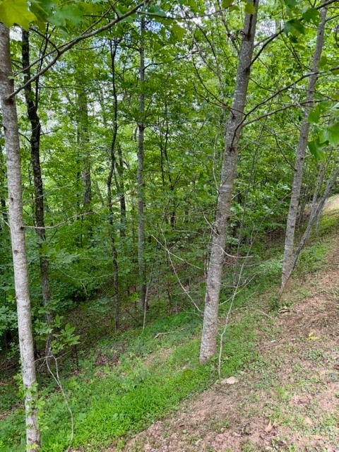 Lot 19 Clear Waters Edge Estate Property Photo 10