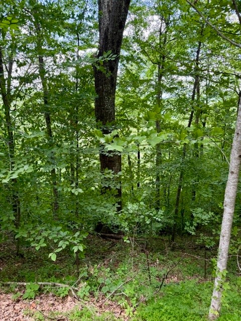 Lot 19 Clear Waters Edge Estate Property Photo 14