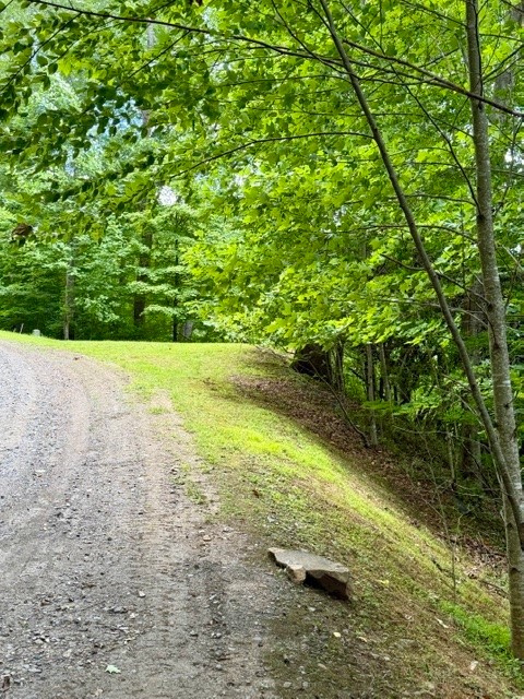 Lot 19 Clear Waters Edge Estate Property Photo 16