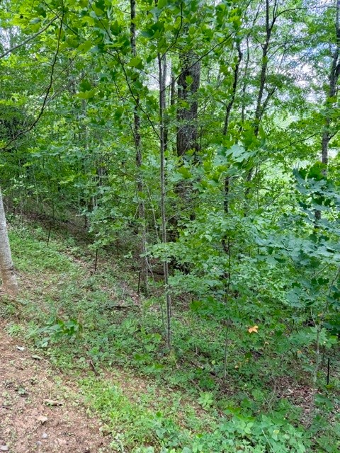 Lot 19 Clear Waters Edge Estate Property Photo 17