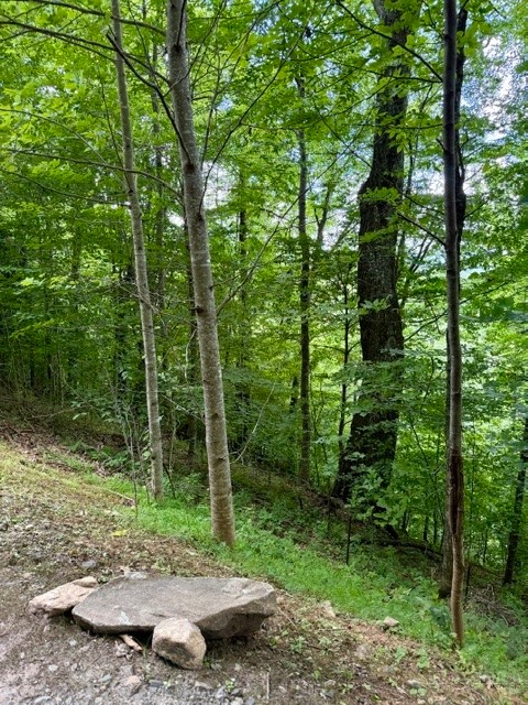 Lot 19 Clear Waters Edge Estate Property Photo 18