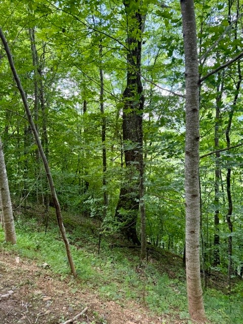 Lot 19 Clear Waters Edge Estate Property Photo 19