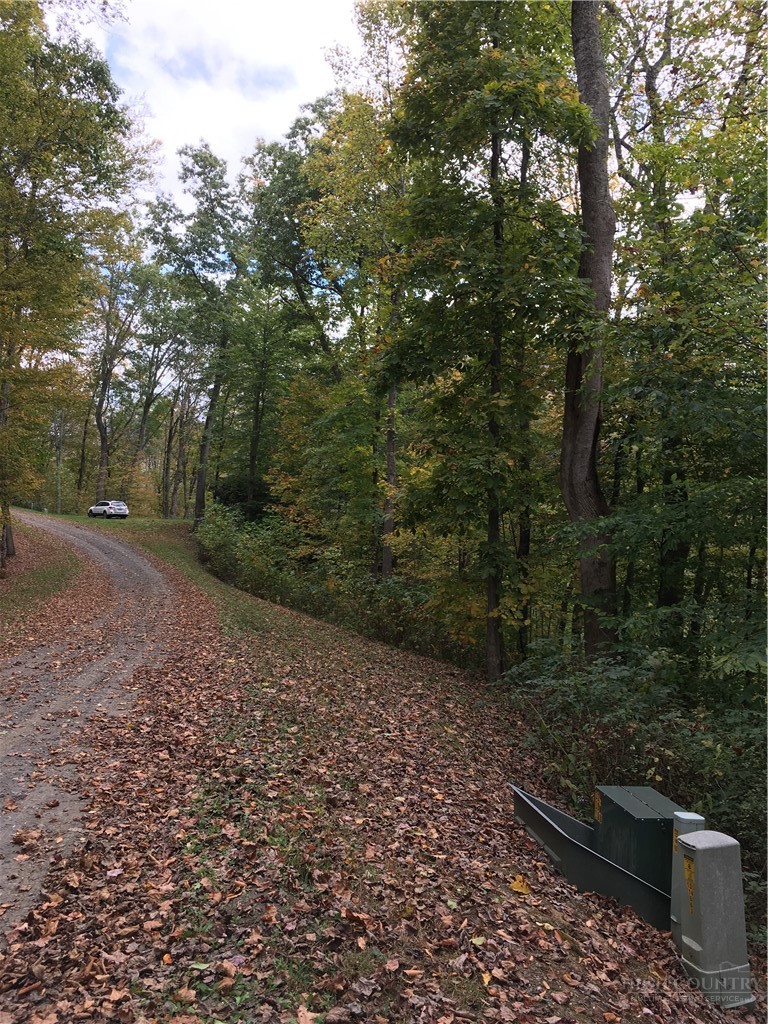 Lot 19 Clear Waters Edge Estate Property Photo 23