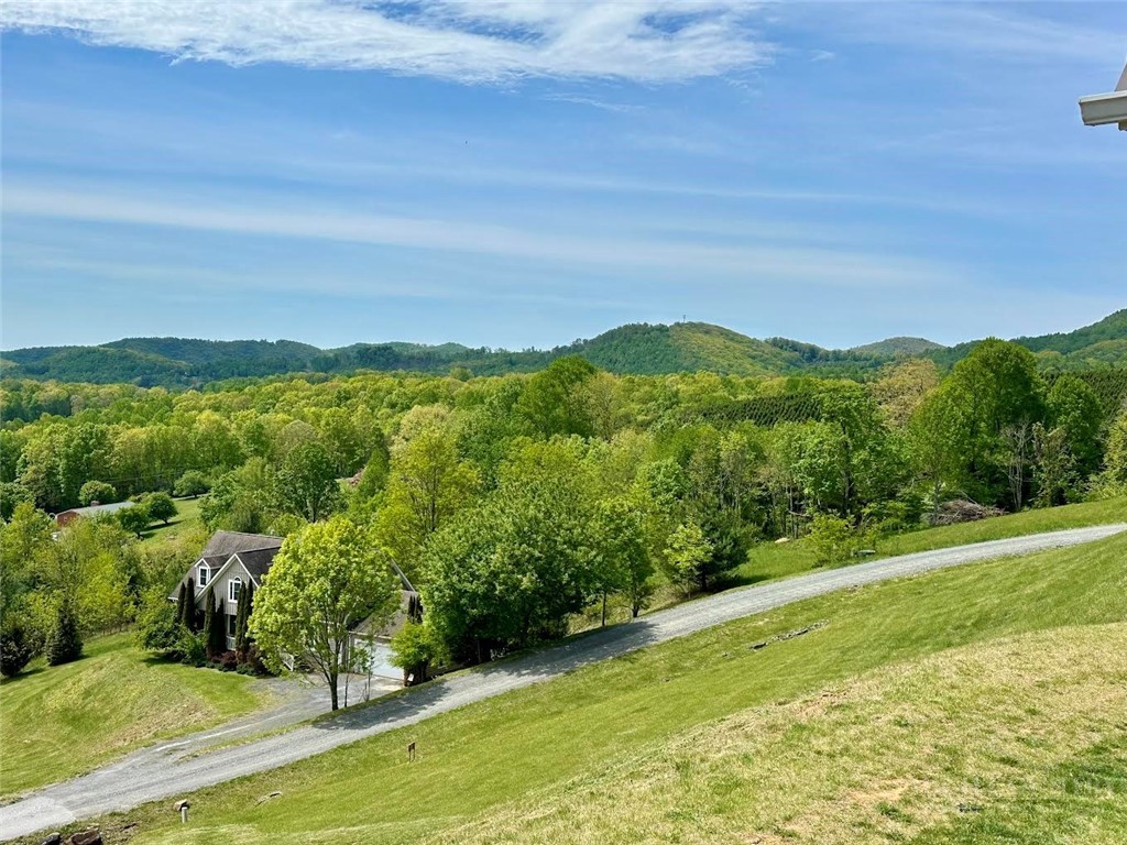 384 Clear Branch Drive Property Photo 40
