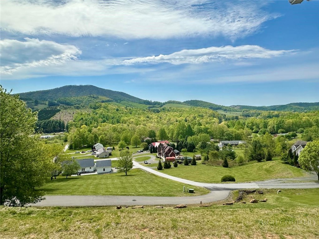 384 Clear Branch Drive Property Photo 41