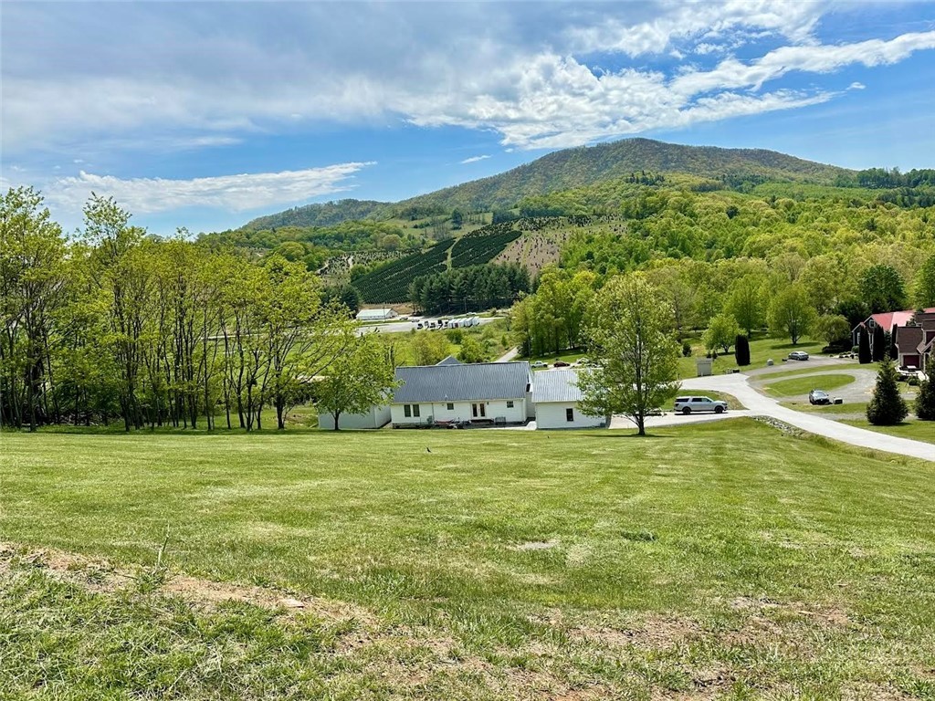 384 Clear Branch Drive Property Photo 42