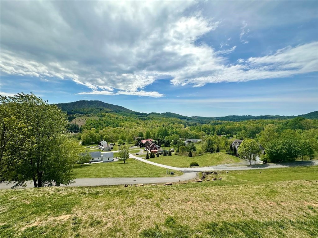 384 Clear Branch Drive Property Photo 43