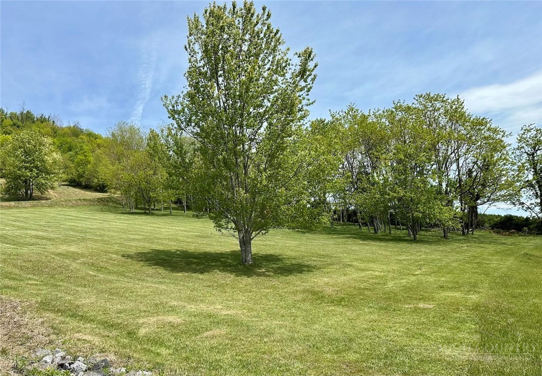 384 Clear Branch Drive Property Photo 44