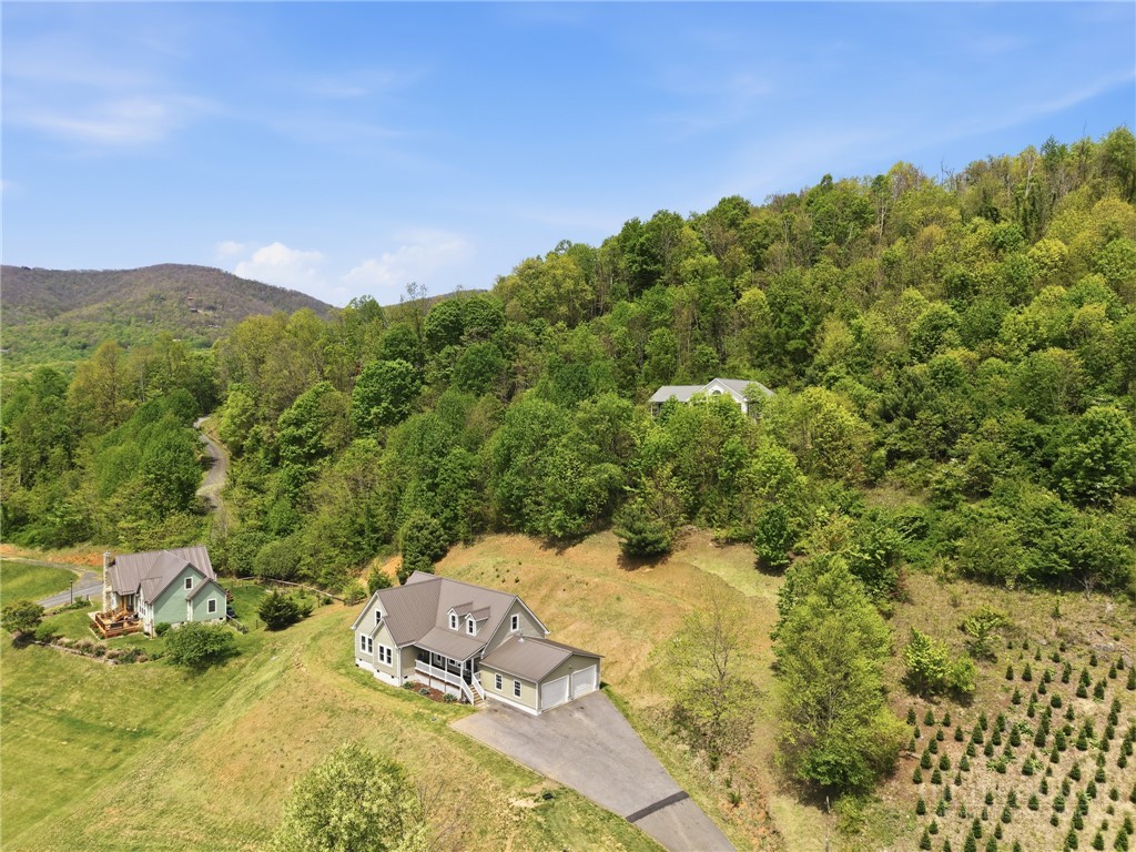 384 Clear Branch Drive Property Photo 46