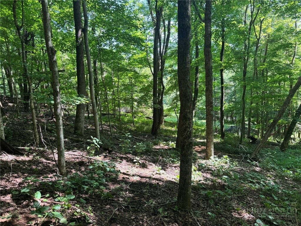 Tbd Alida Court Property Photo 2