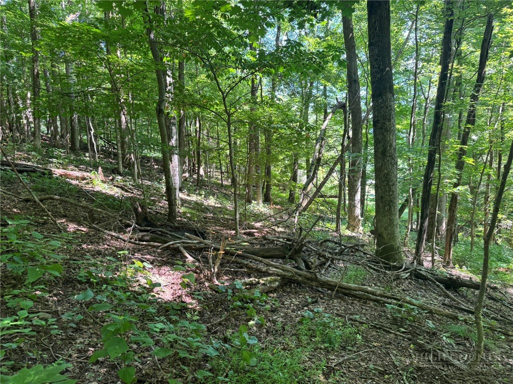 Tbd Alida Court Property Photo 4