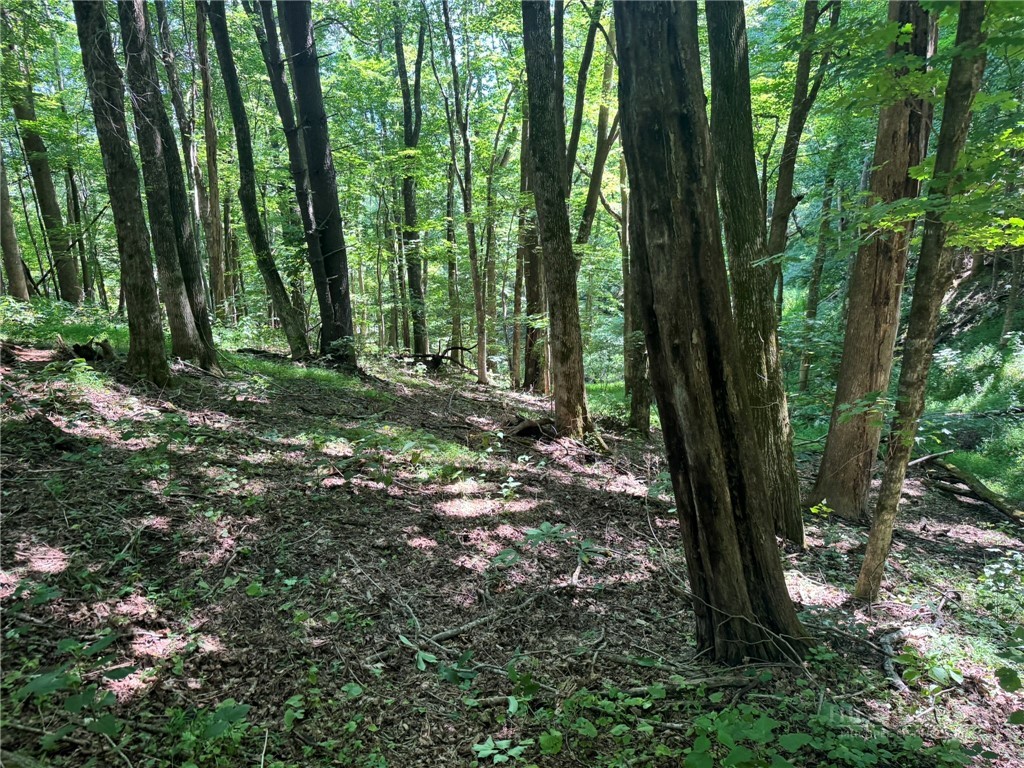 Tbd Alida Court Property Photo 5
