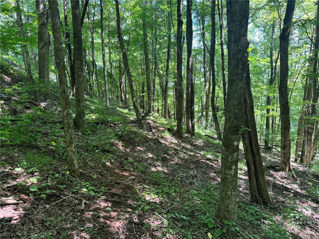 Tbd Alida Court Property Photo 6