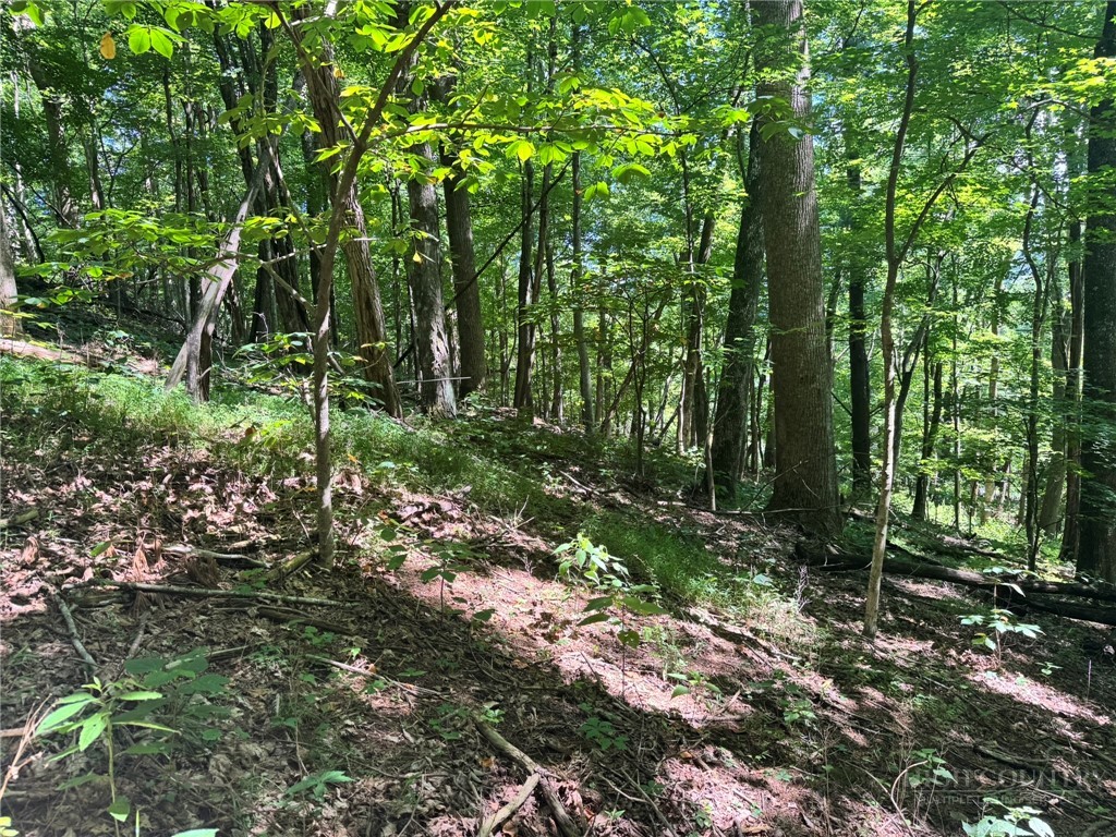 Tbd Alida Court Property Photo 7
