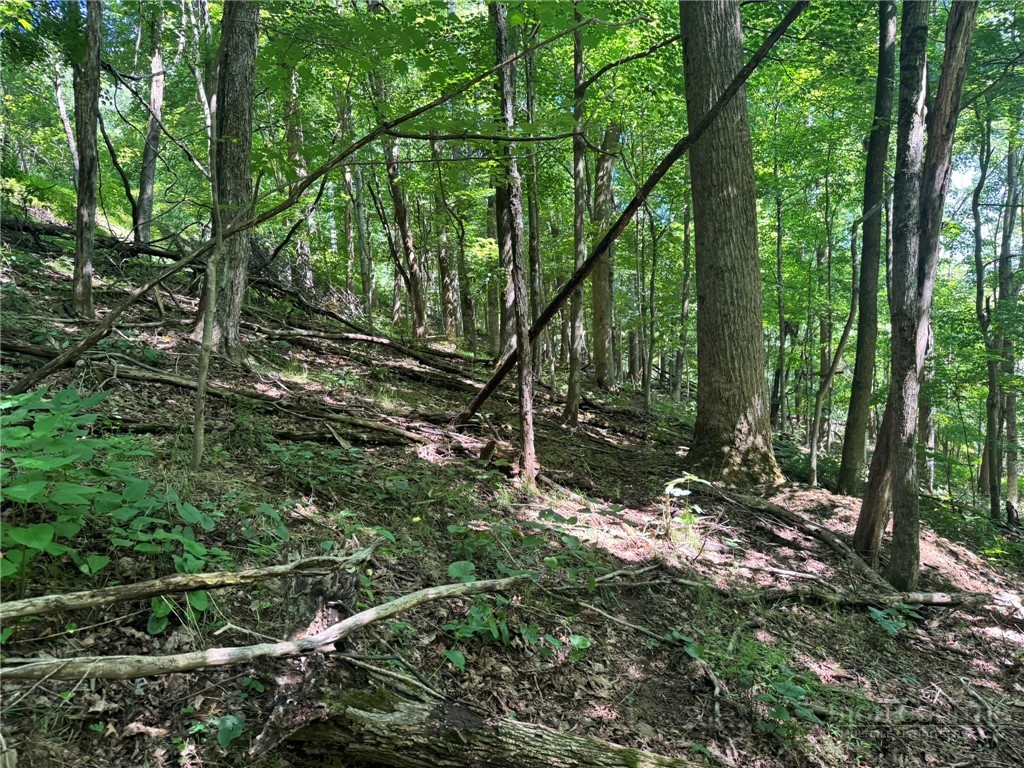 Tbd Alida Court Property Photo 8