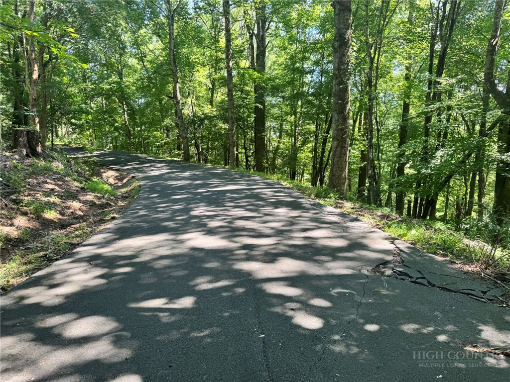Tbd Alida Court Property Photo 9