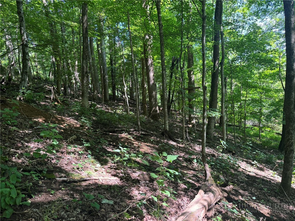 Tbd Alida Court Property Photo 10