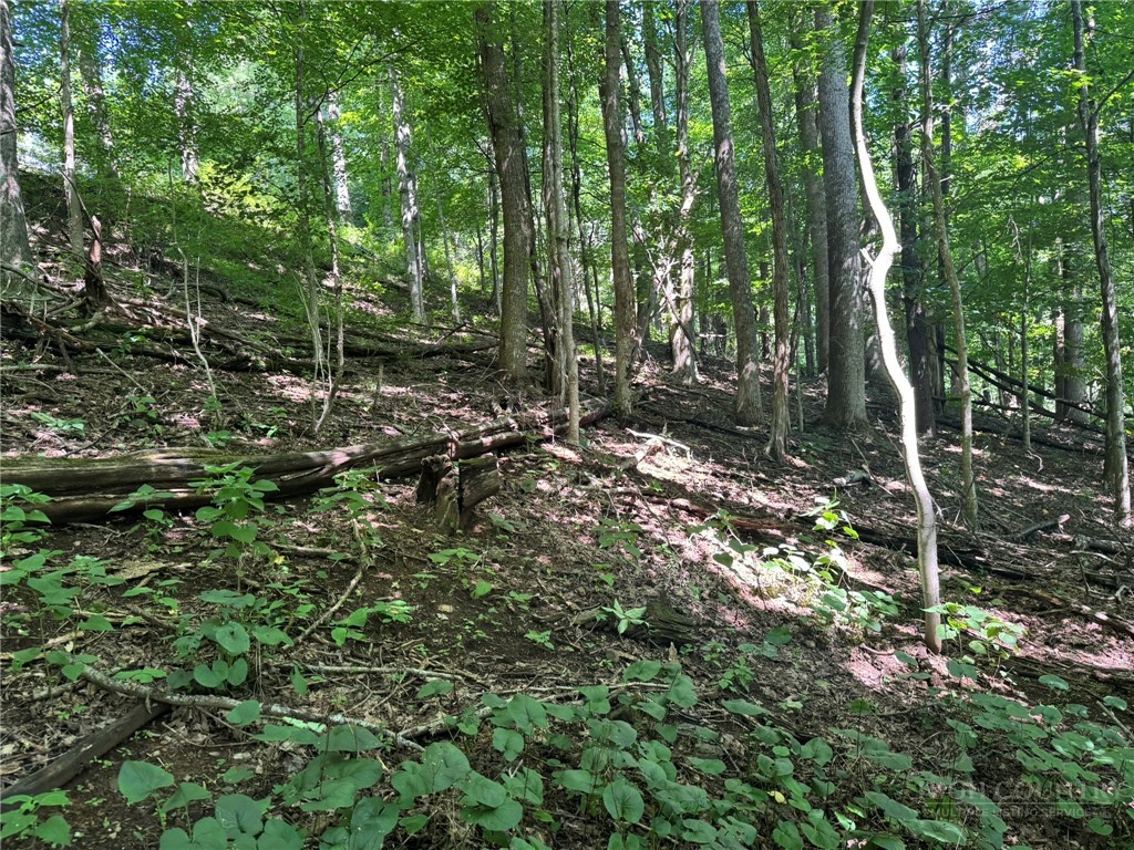 Tbd Alida Court Property Photo 11