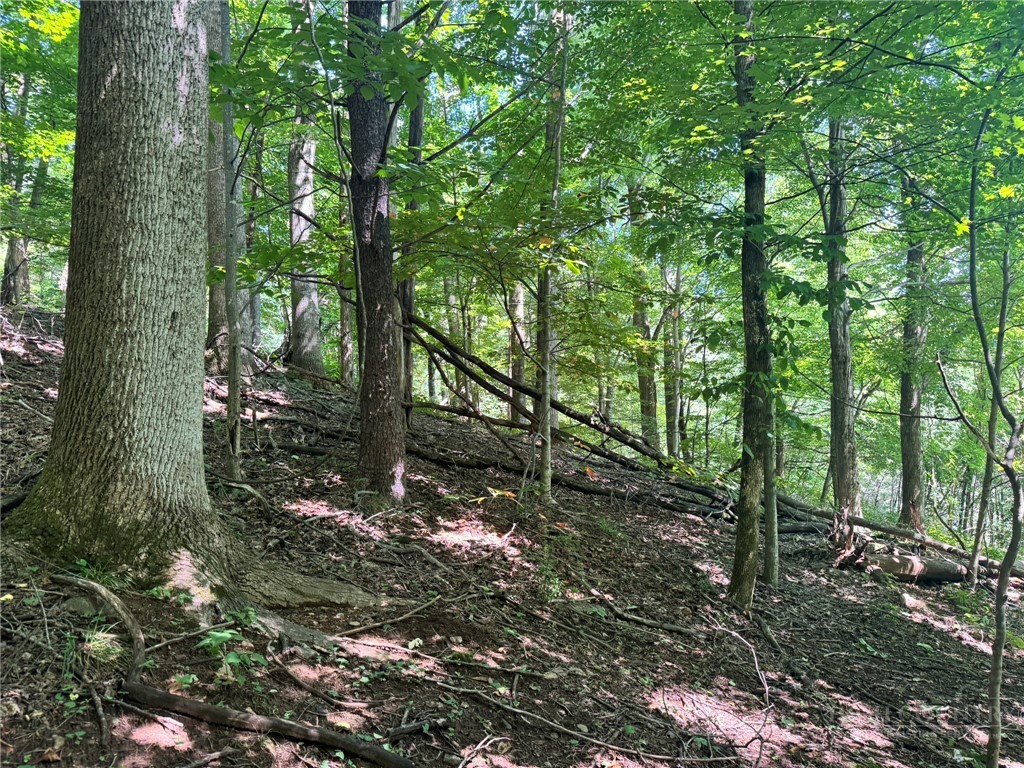 Tbd Alida Court Property Photo 12