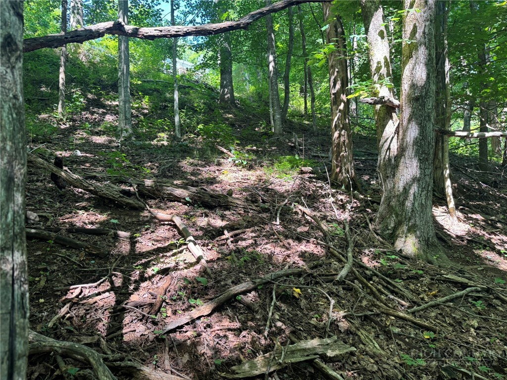 Tbd Alida Court Property Photo 13