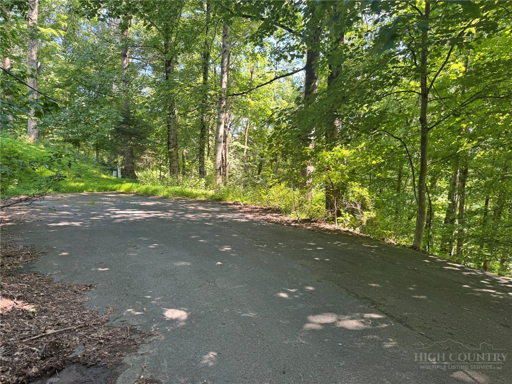 Tbd Alida Court Property Photo 14