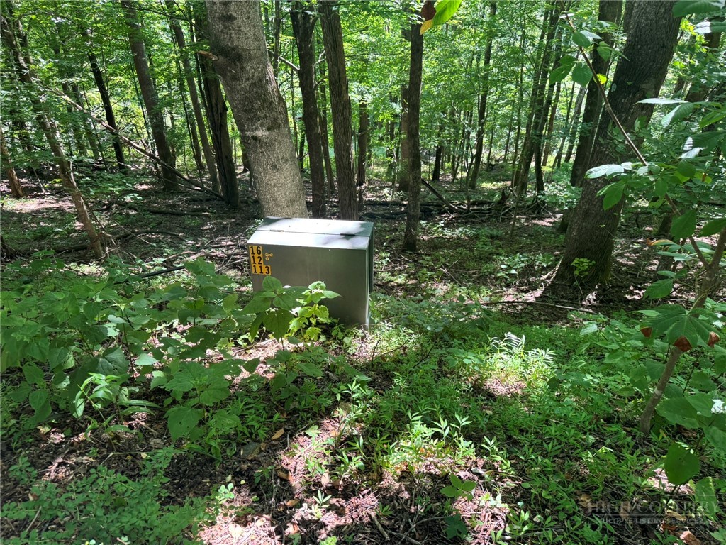 Tbd Alida Court Property Photo 15