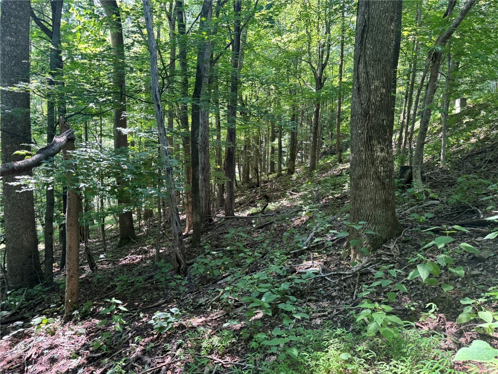 Tbd Alida Court Property Photo 16