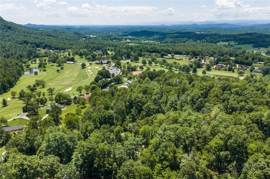 3132 Stoney Brook Drive Property Photo 48