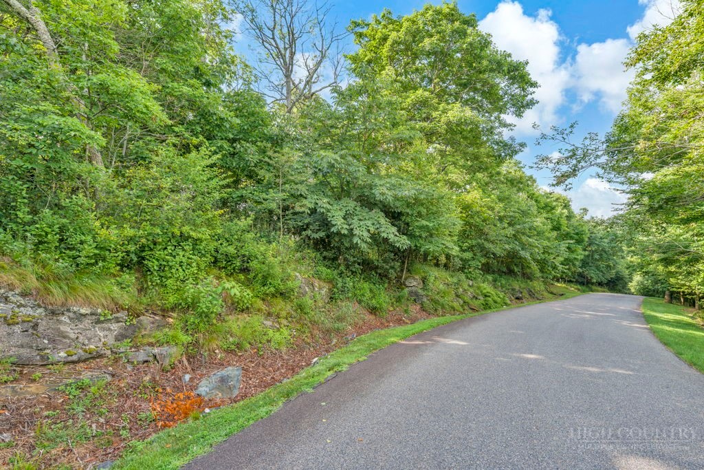 Lot 17 Crown Point Road Property Photo 11