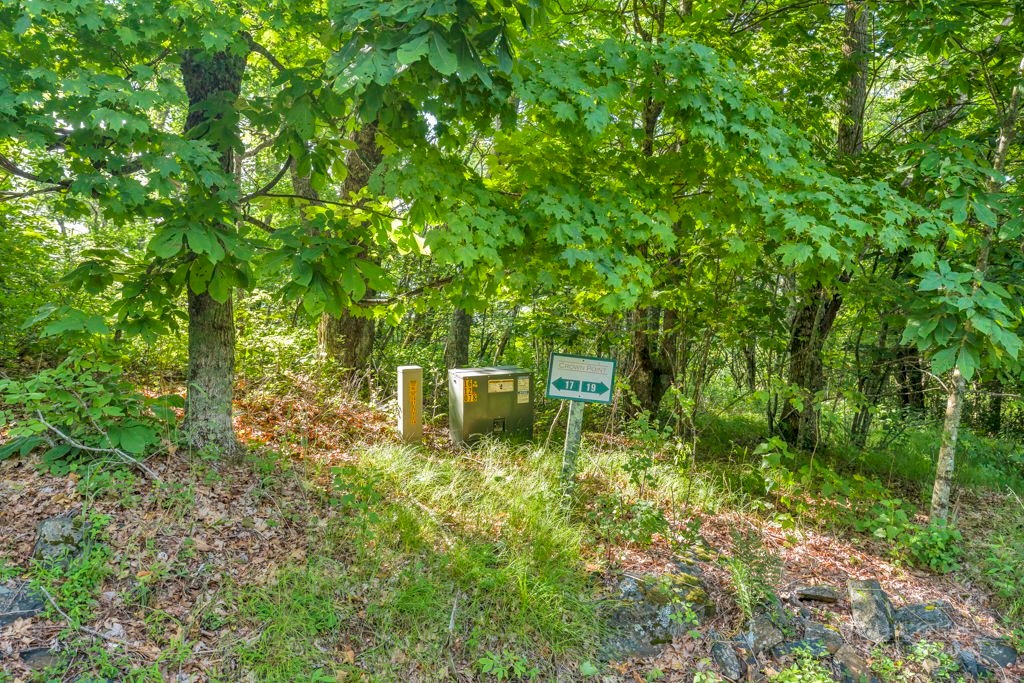 Lot 17 Crown Point Road Property Photo 13