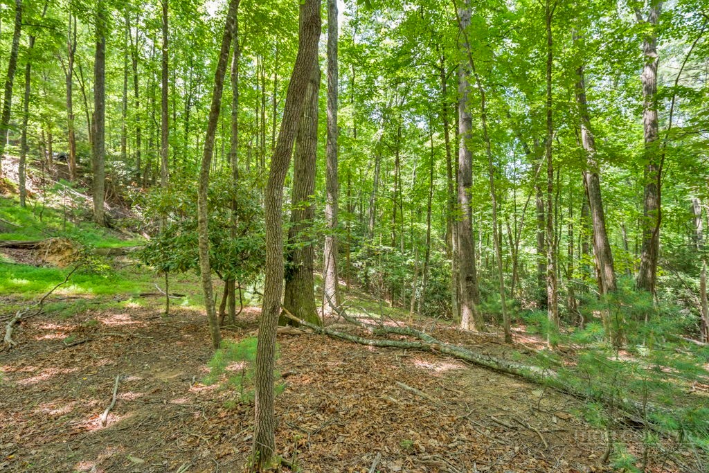 Lots Er 11-14 Powder Horn Mountain Rd Road Property Photo 16