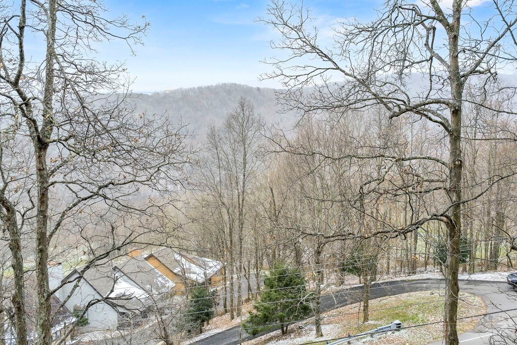 1340 Skyland Drive Property Photo 3