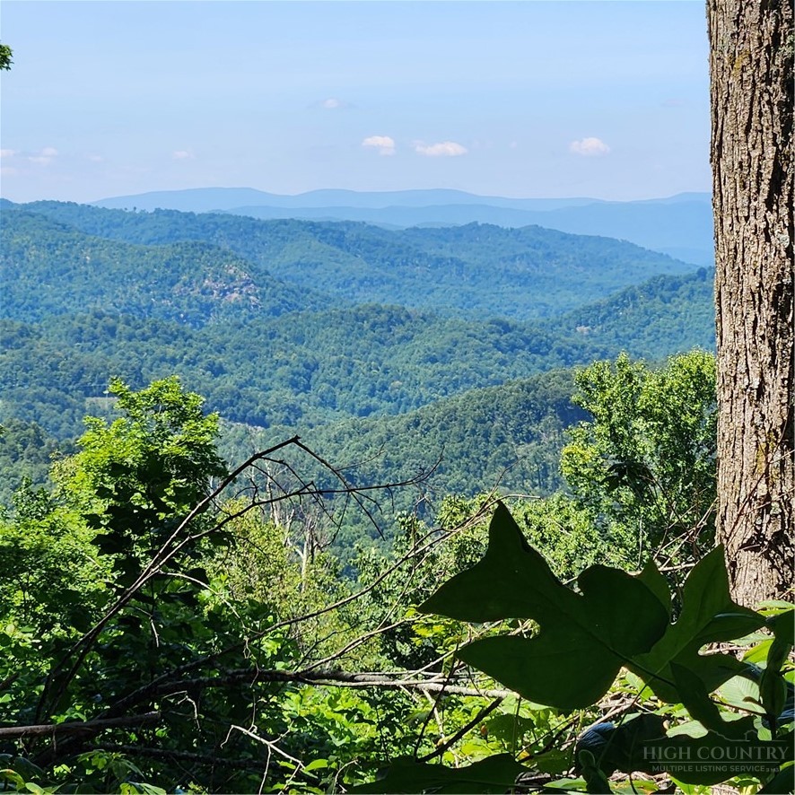 Tbd (lot#9) Bear Paw Road Property Photo 2