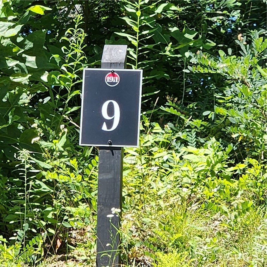 Tbd (lot#9) Bear Paw Road Property Photo 4