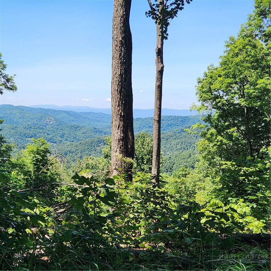 Tbd (lot#9) Bear Paw Road Property Photo 5