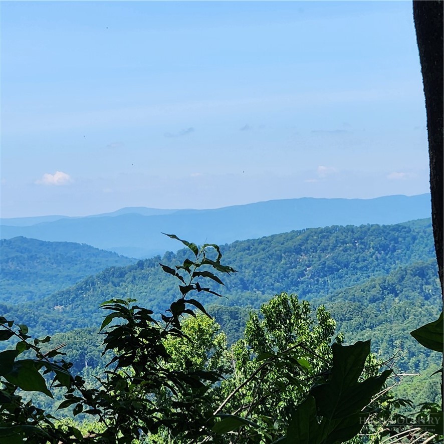 Tbd (lot#9) Bear Paw Road Property Photo 6