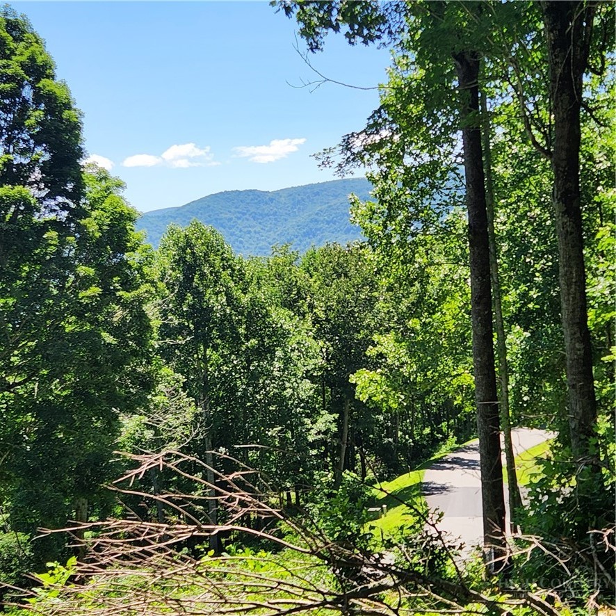 Tbd (lot#9) Bear Paw Road Property Photo 7