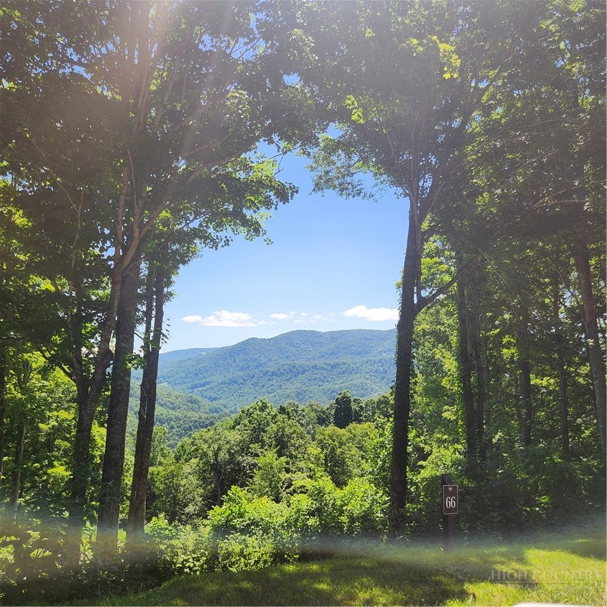 Tbd (lot#9) Bear Paw Road Property Photo 8