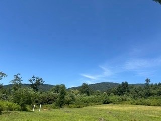 Tbd Black Bear Acres Lane Property Photo 1