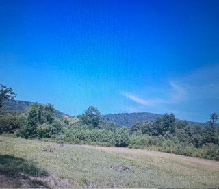 Tbd Black Bear Acres Lane Property Photo 2