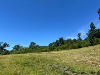 Tbd Black Bear Acres Lane Property Photo 3