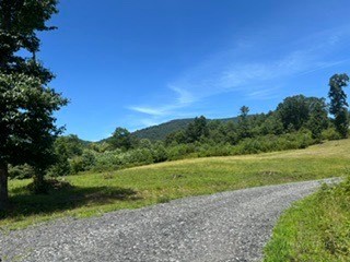 Tbd Black Bear Acres Lane Property Photo 4