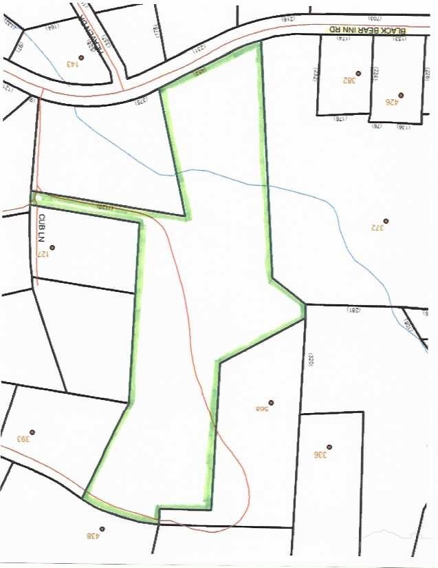 Tbd Black Bear Acres Lane Property Photo 5
