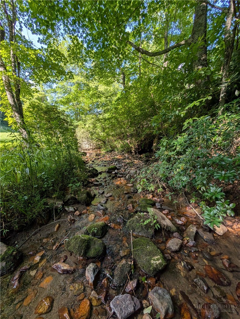 1243 Meadowfork Road Property Photo 3