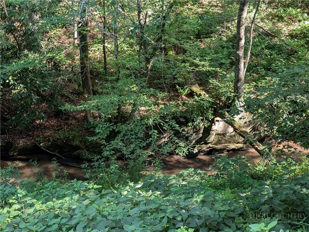 1243 Meadowfork Road Property Photo 39