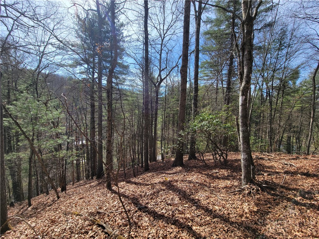 TBD (Lot 72) Creekside Meadows Drive